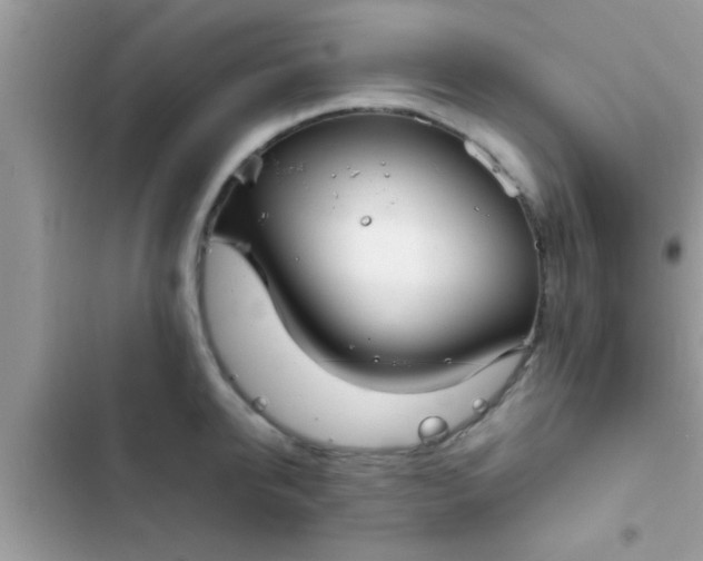 X0000102390950200808151918