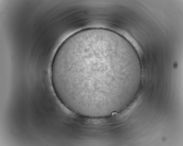 X0000102390951200808151918