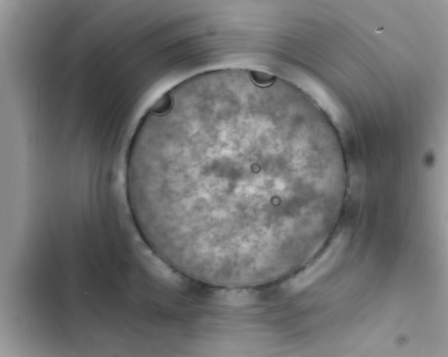 X0000102390952200808151918