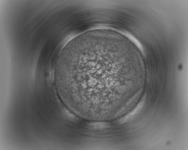 X0000102390953200808151918