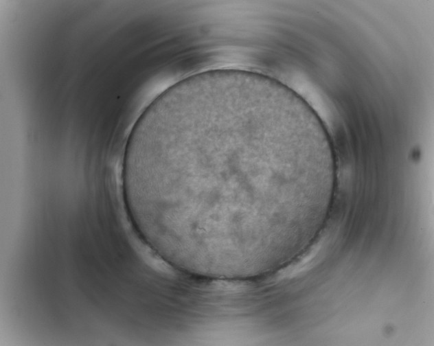 X0000102390954200808151918