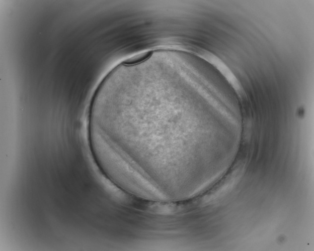 X0000102390955200808151918