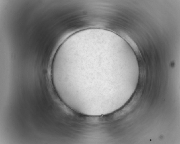 X0000102390956200808151918