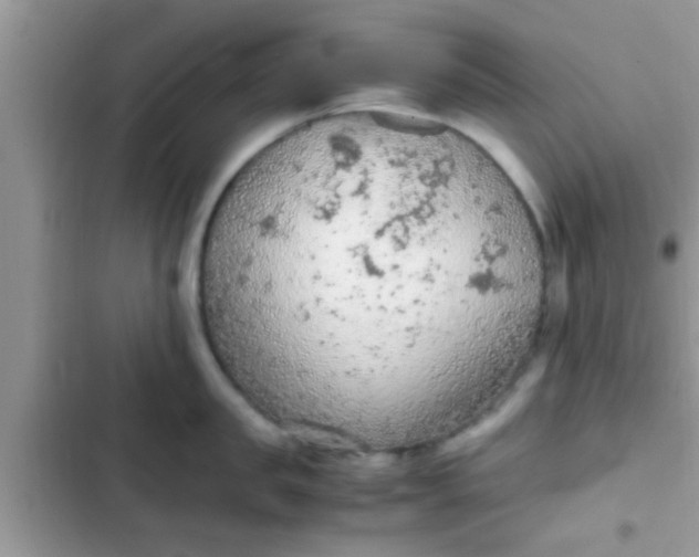 X0000102390957200808151918