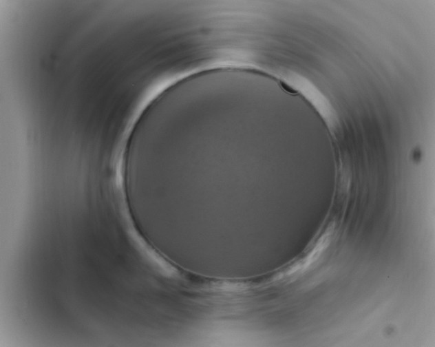 X0000102390958200808151918