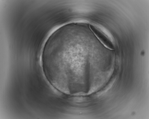 X0000102390959200808151918