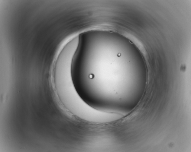 X0000102390960200808151918