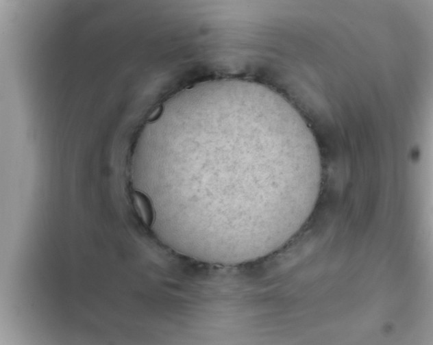 X0000102390961200808151917