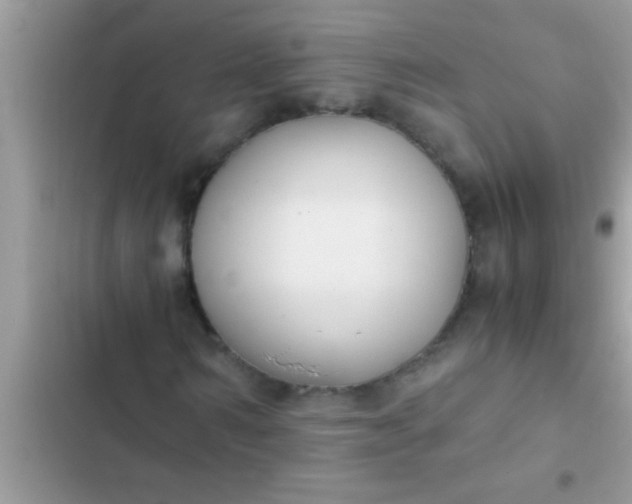 X0000102390962200808151917