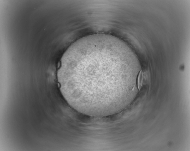 X0000102390963200808151917