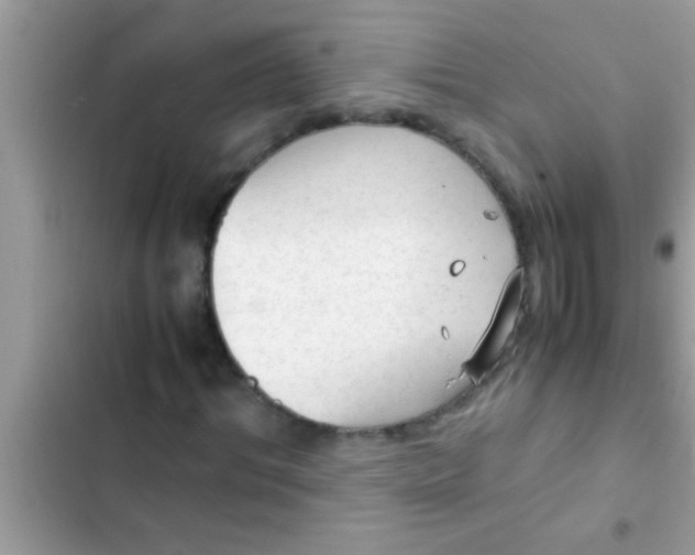 X0000102390964200808151917