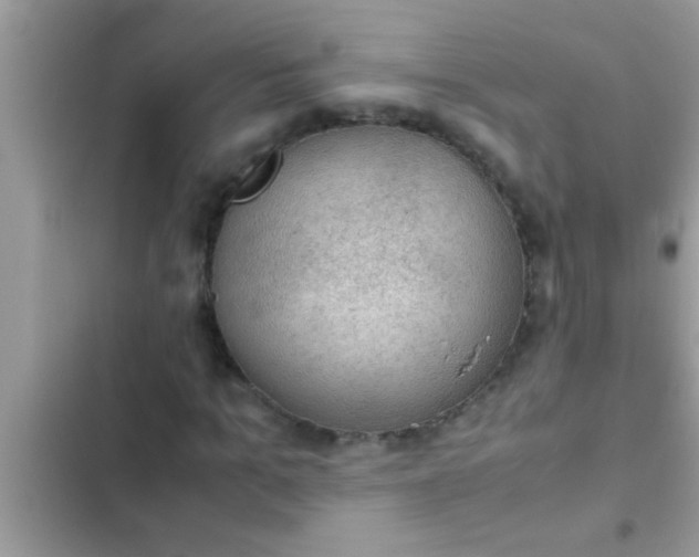 X0000102390965200808151917