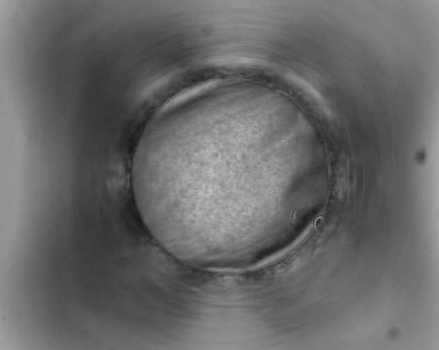 X0000102390966200808151917