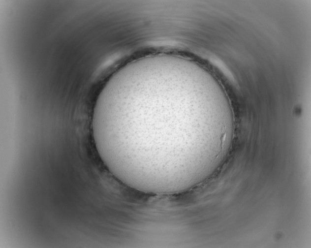 X0000102390967200808151917