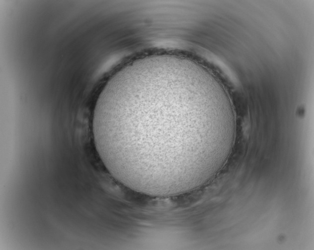 X0000102390968200808151917