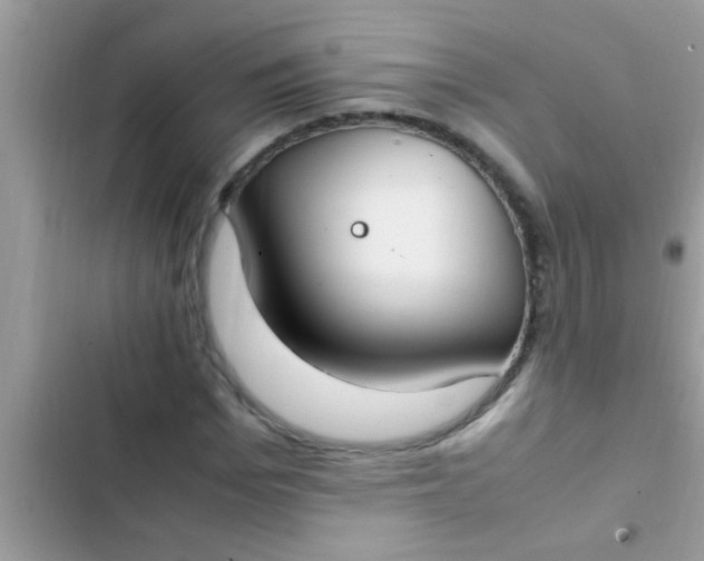 X0000102390969200808151917