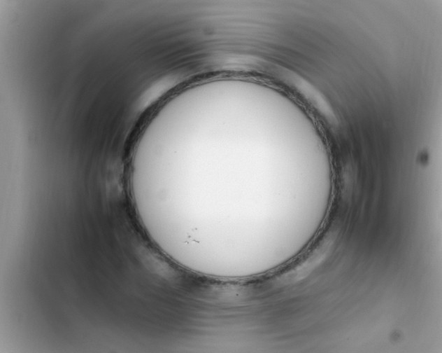 X0000102390970200808151917