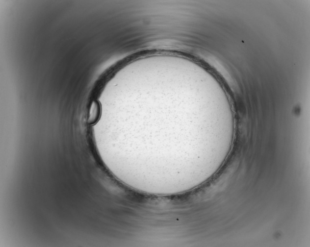 X0000102390971200808151917