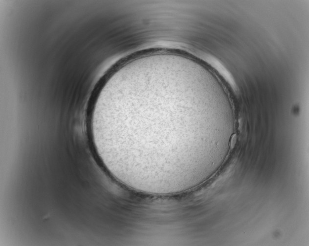 X0000102390972200808151917