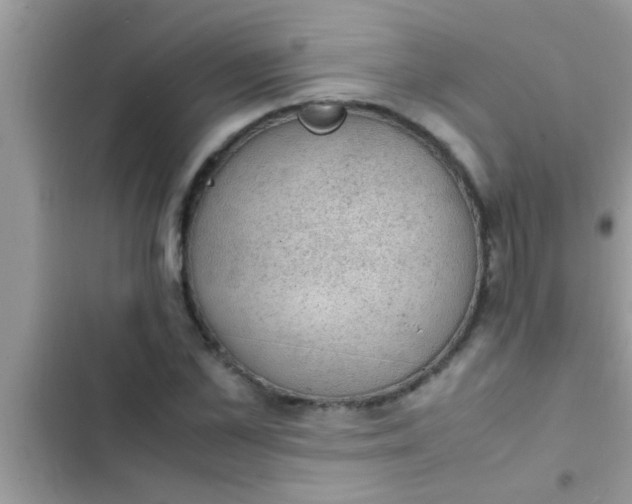 X0000102390973200808151917