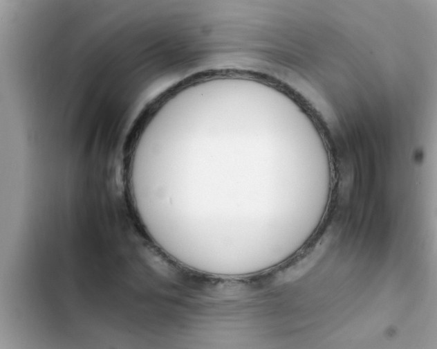 X0000102390974200808151917