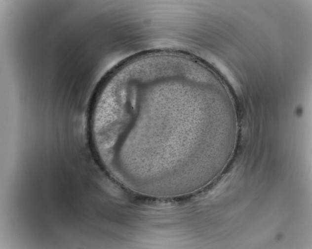 X0000102390975200808151917