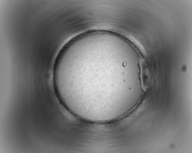 X0000102390976200808151917