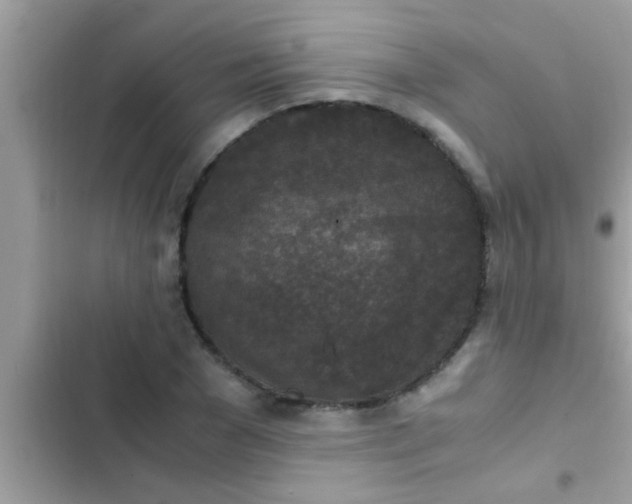 X0000102390977200808151917