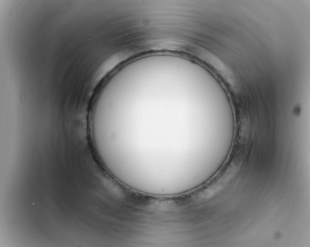 X0000102390978200808151917