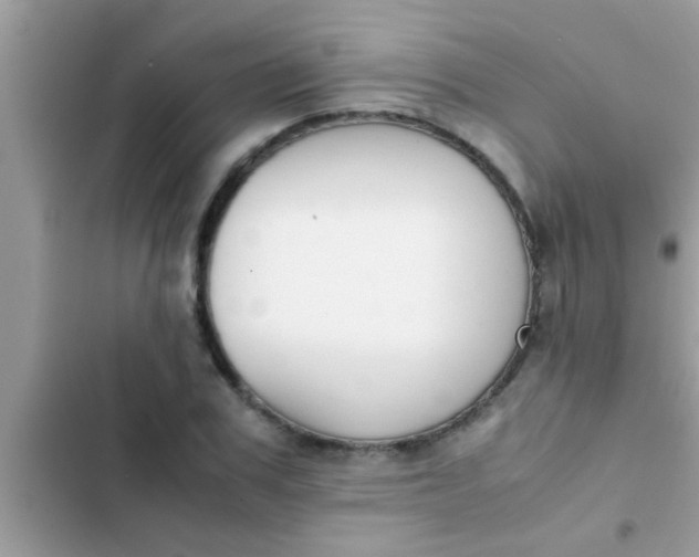 X0000102390979200808151917