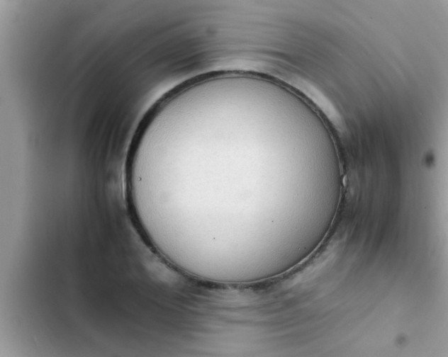 X0000102390980200808151917