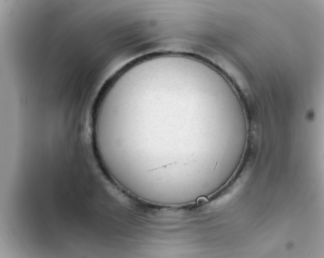 X0000102390981200808151917