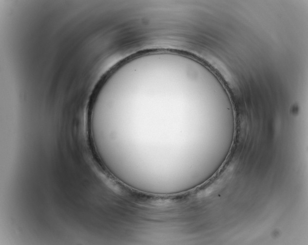 X0000102390982200808151917