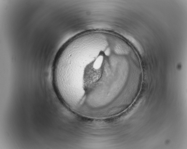 X0000102390983200808151917