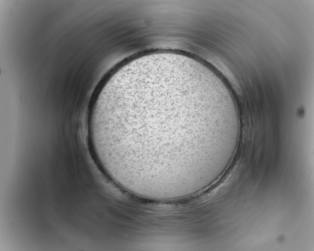 X0000102390984200808151917