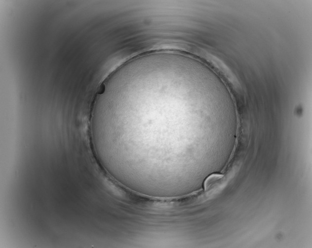 X0000102390985200808151917