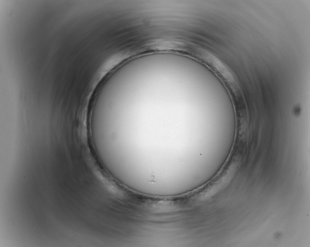 X0000102390986200808151917