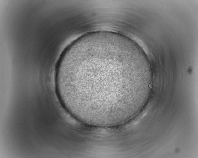 X0000102390987200808151917