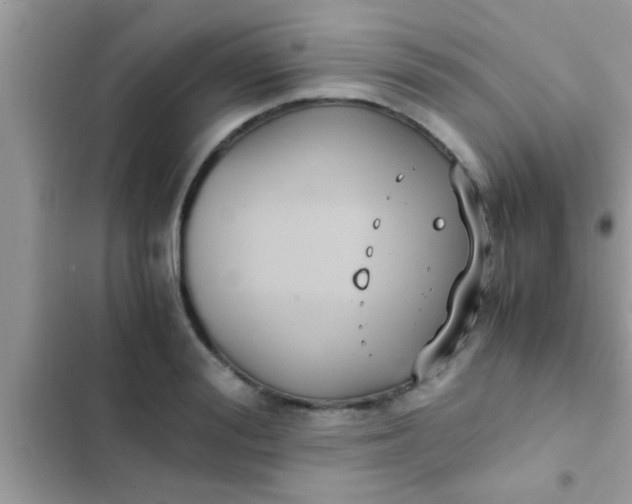 X0000102390988200808151917