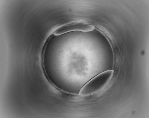 X0000102390989200808151916