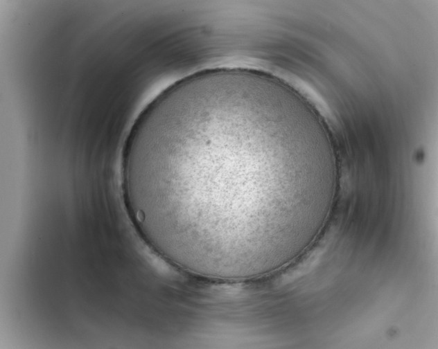 X0000102390990200808151916