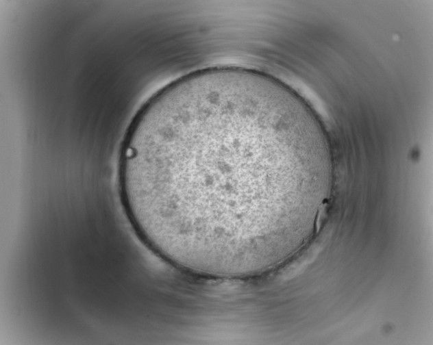 X0000102390991200808151916