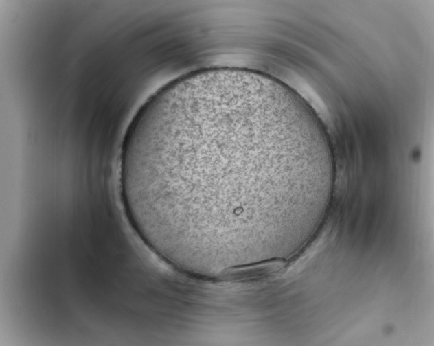 X0000102390992200808151916