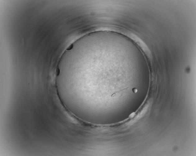 X0000102390993200808151916