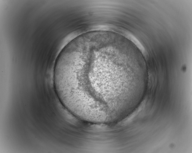 X0000102390994200808151916