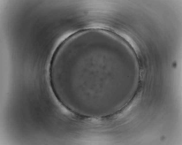 X0000102390995200808151916