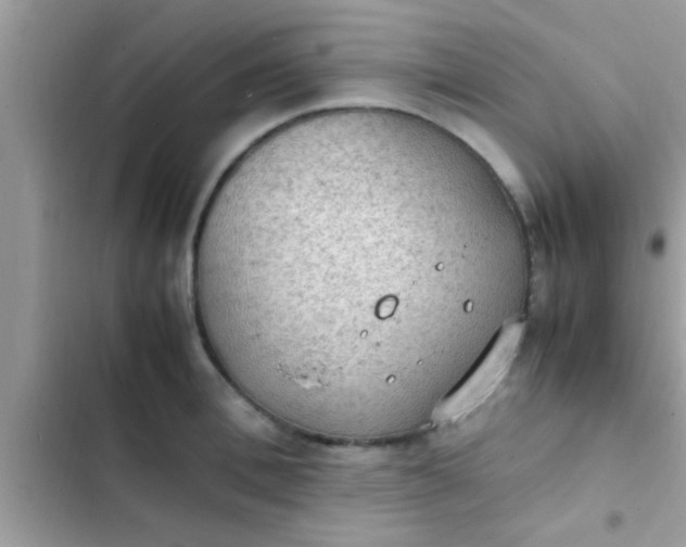 X0000102390996200808151916