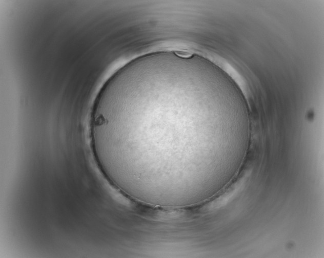 X0000102390997200808151916