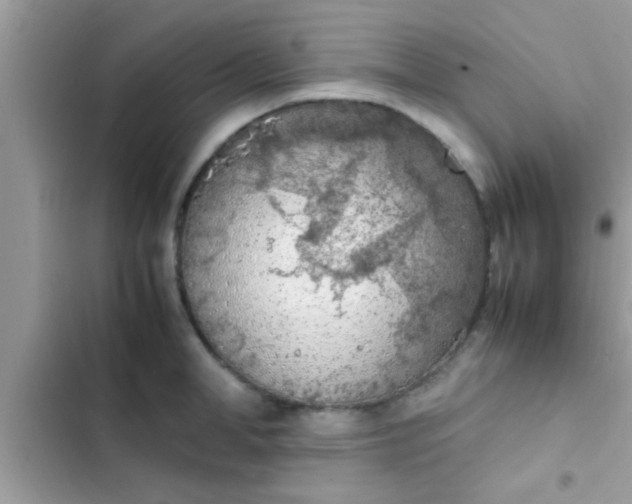 X0000102390998200808151916