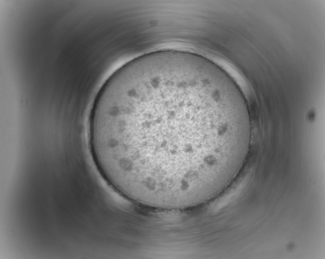 X0000102390999200808151916